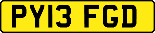 PY13FGD