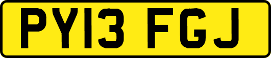 PY13FGJ