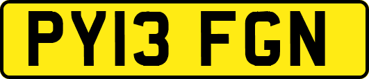 PY13FGN