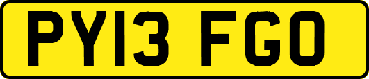 PY13FGO