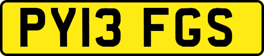 PY13FGS