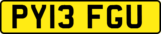 PY13FGU