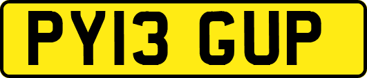 PY13GUP