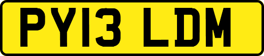 PY13LDM