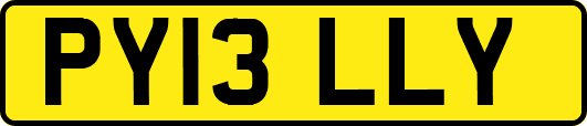 PY13LLY