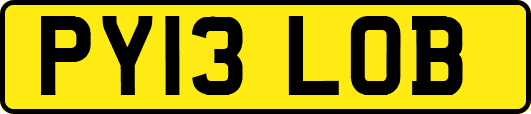 PY13LOB