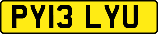 PY13LYU