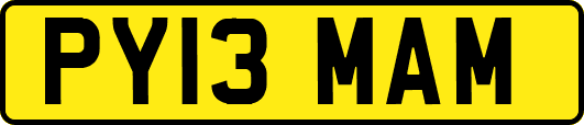 PY13MAM