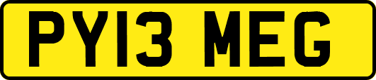 PY13MEG