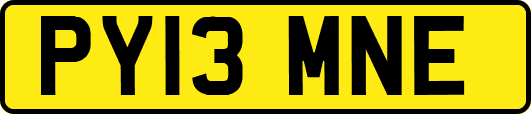 PY13MNE