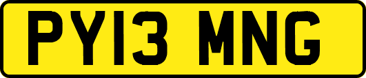 PY13MNG