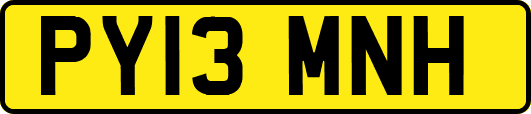 PY13MNH