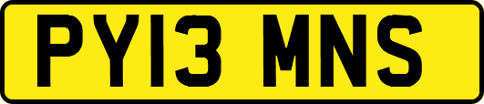 PY13MNS