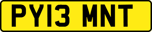 PY13MNT