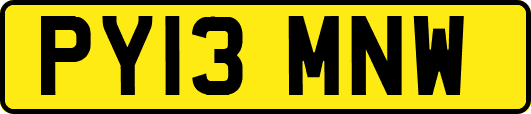 PY13MNW
