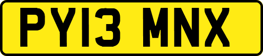 PY13MNX
