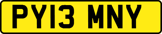 PY13MNY