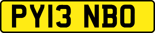 PY13NBO