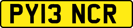 PY13NCR