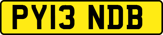 PY13NDB