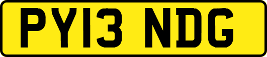 PY13NDG