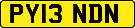 PY13NDN