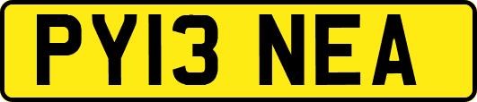 PY13NEA