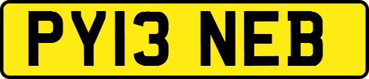 PY13NEB