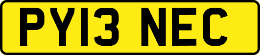 PY13NEC