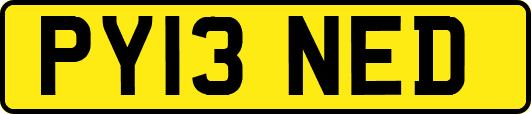 PY13NED