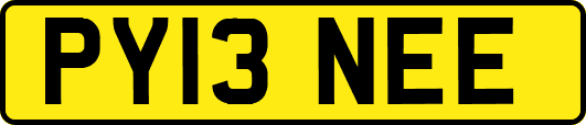 PY13NEE