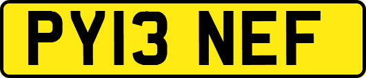 PY13NEF
