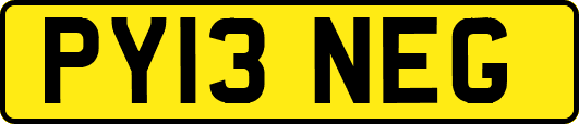 PY13NEG