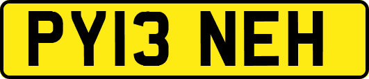PY13NEH