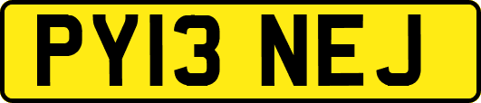 PY13NEJ