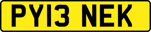 PY13NEK