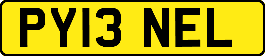PY13NEL