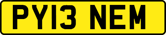 PY13NEM