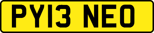 PY13NEO