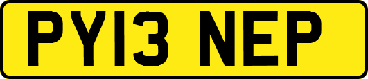 PY13NEP