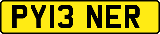 PY13NER