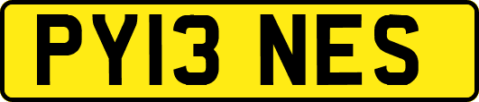 PY13NES