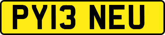 PY13NEU