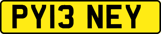PY13NEY