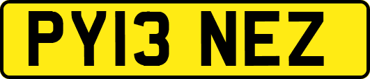 PY13NEZ