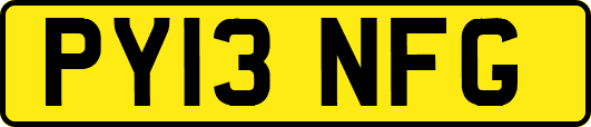 PY13NFG