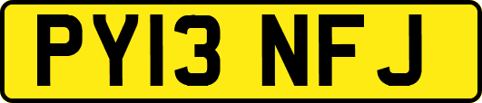PY13NFJ