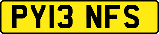 PY13NFS