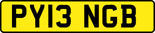PY13NGB