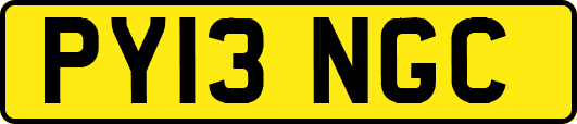 PY13NGC